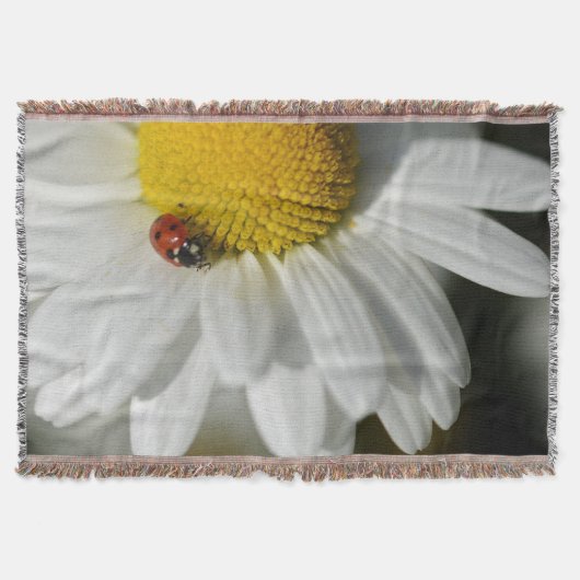 Daisy and a Ladybug Decke (Vorderseite)
