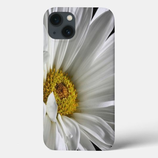 Daisy auf schwarzem Hintergrund Case-Mate iPhone Hülle (Rückseite)