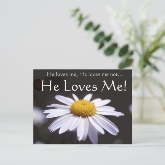 Daisy auf schwarzem Hintergrund Postkarte (Stehend Vorderseite)