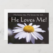 Daisy auf schwarzem Hintergrund Postkarte (Vorne/Hinten)