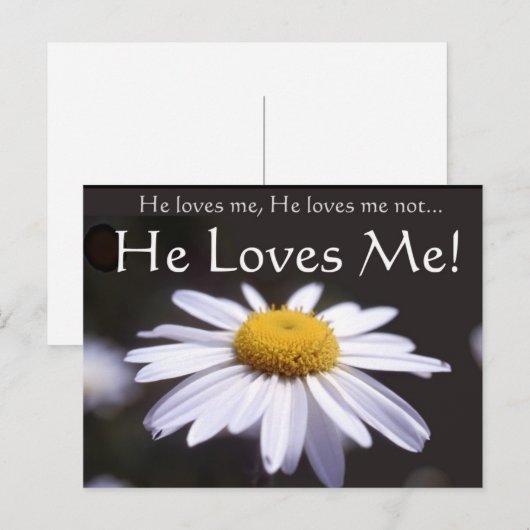 Daisy auf schwarzem Hintergrund Postkarte (Vorne/Hinten)