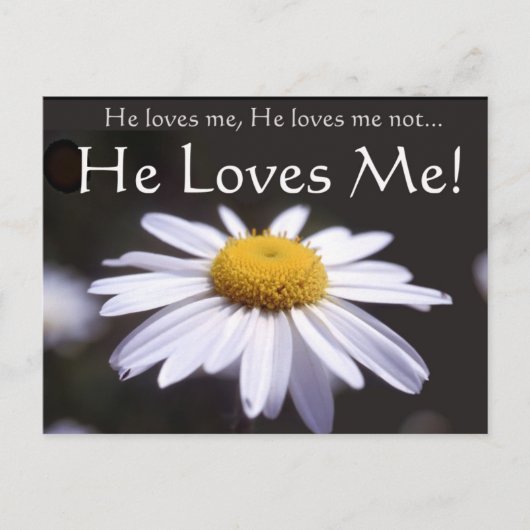 Daisy auf schwarzem Hintergrund Postkarte (Vorderseite)