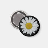 Daisy auf schwarzem Magnet (Vorderseite/Rückseite)