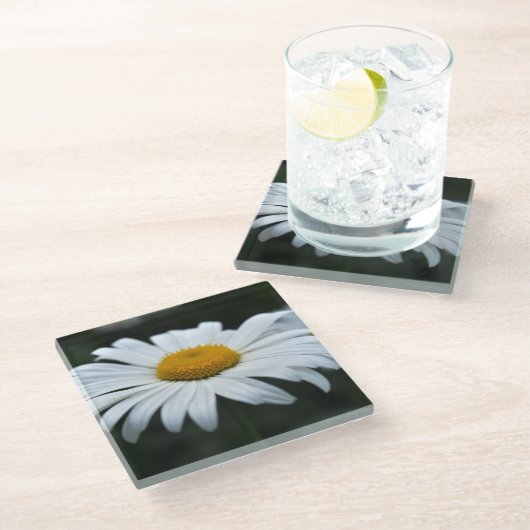 Daisy - Aufsehen Glasuntersetzer (Schrägansicht)