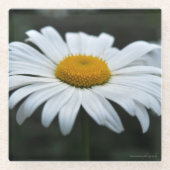 Daisy - Aufsehen Glasuntersetzer (Vorderseite)