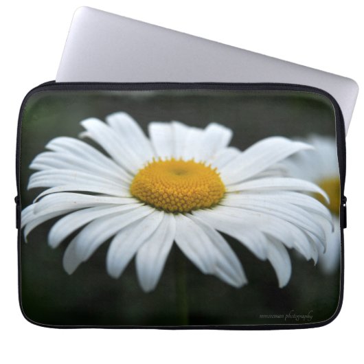 Daisy - Aufsehen Laptopschutzhülle (Vorderseite)