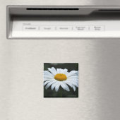 Daisy - Aufsehen Magnet (In Situ (Geschirrspüler))