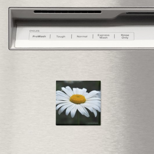 Daisy - Aufsehen Magnet (In Situ (Geschirrspüler))