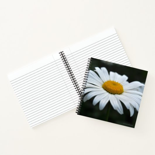 Daisy - Aufsehen Notizblock (Innenseite)