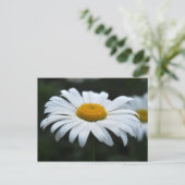 Daisy - Aufsehen Postkarte (Stehend Vorderseite)