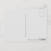 Daisy - Aufsehen Postkarte (Rückseite)