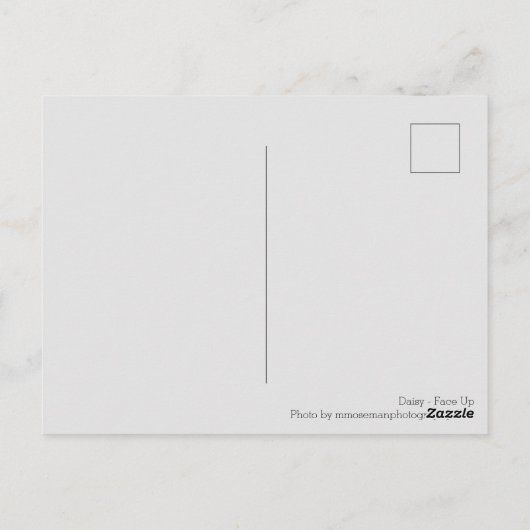 Daisy - Aufsehen Postkarte (Rückseite)