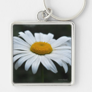 Daisy - Aufsehen Schlüsselanhänger