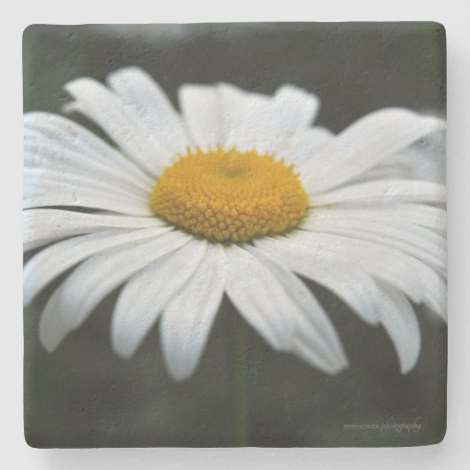 Daisy - Aufsehen Steinuntersetzer (Vorderseite)