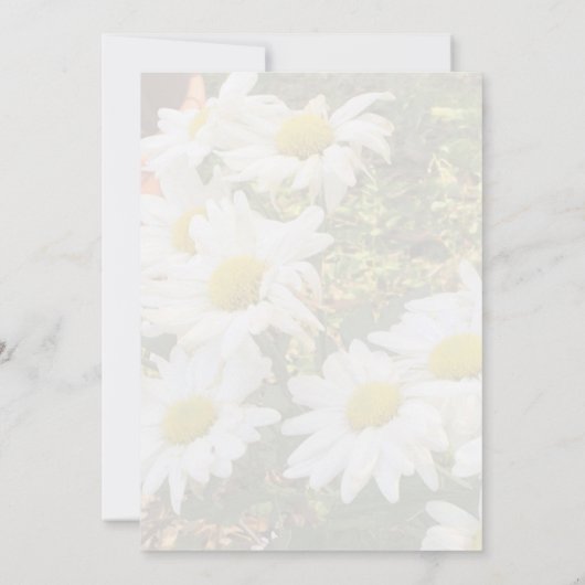 Daisy Background Fflügling Yellow Script Wedding Einladung (Rückseite)