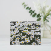 Daisy Bed Postkarte (Stehend Vorderseite)