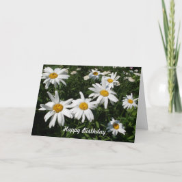 Daisy Birthday Card Karte