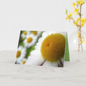 Daisy Birthday Card Karte (Gelbe Blume)