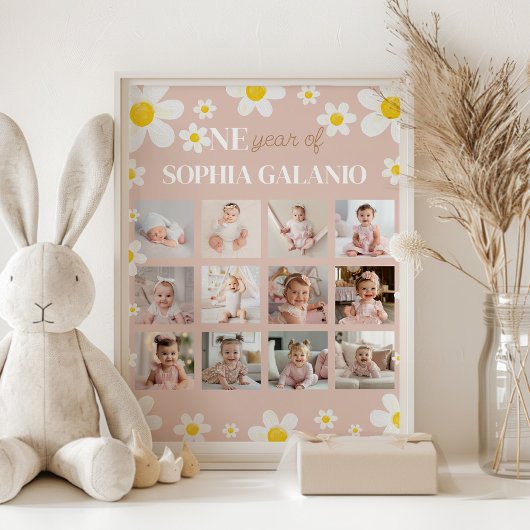 Daisy Bloom Foto Meilenstein-Poster Poster