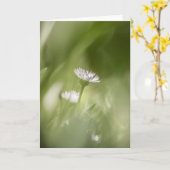 Daisy Blossom Nature Foto Karte (Gelbe Blume)