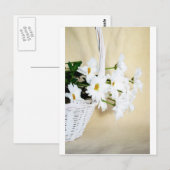 Daisy Blossoms Blume und Wicker Basket Postkarte (Vorne/Hinten)