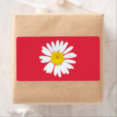 Daisy Blume (Insitu)