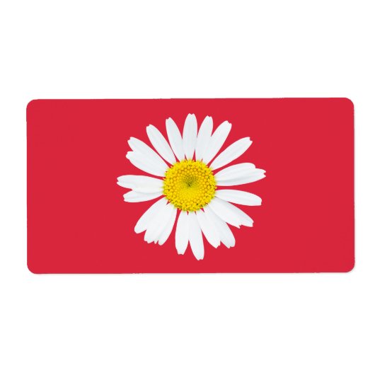 Daisy Blume (Vorne)