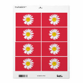 Daisy Blume (Vorne)