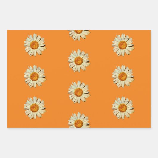 Daisy Blume Art Wrapping Craft Papier (Vorderseite 2)
