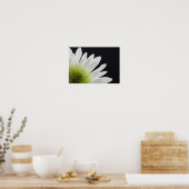 Daisy Blume auf Black Poster (Küche)