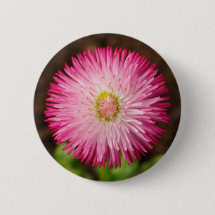 Daisy-Blume - Button