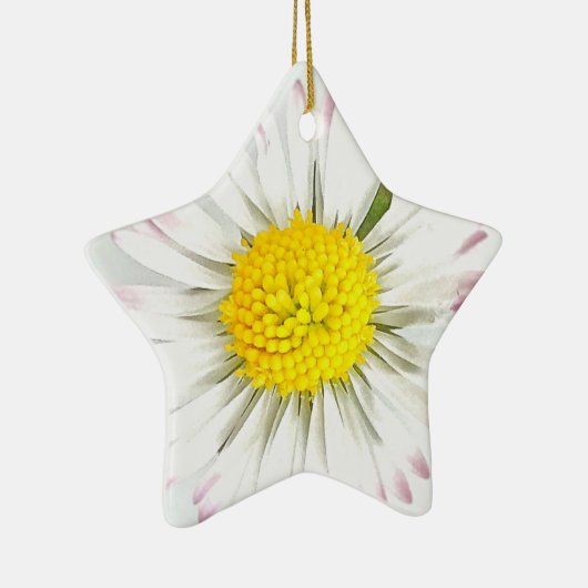 Daisy Blume Dble-Sided Star Ornament (Rechts)