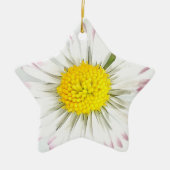 Daisy Blume Dble-Sided Star Ornament (Vorne)