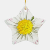 Daisy Blume Dble-Sided Star Ornament (Hinten)