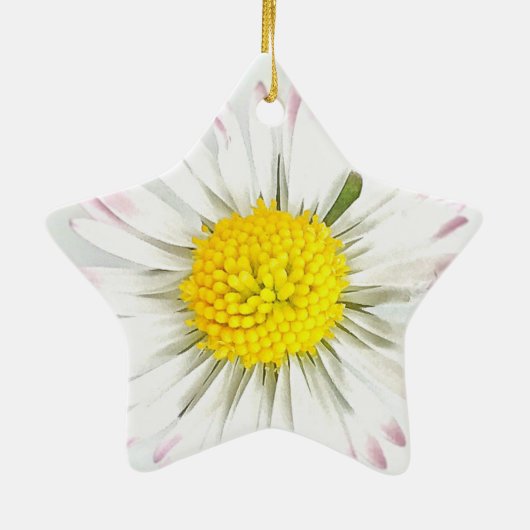 Daisy Blume Dble-Sided Star Ornament (Hinten)