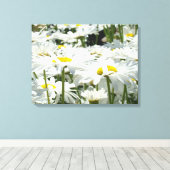 Daisy Blume Dekorative Leinwand Fotografie (Insitu (Holzboden))