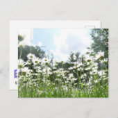 Daisy Blume DIY Postcard Postkarte (Vorne/Hinten)