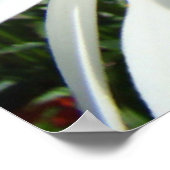 Daisy Blume druckt White Daisies Blue Sky Poster (Ecke)