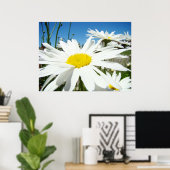 Daisy Blume druckt White Daisies Blue Sky Poster (Heimbüro)