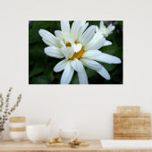 Daisy Blume eröffnet Poster (Küche)