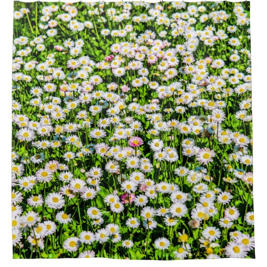 Daisy Blume Field Duschvorhang (Vorderseite)