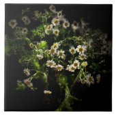 Daisy, Blume Fliese (Vorderseite)