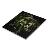 Daisy, Blume Fliese (Seite)