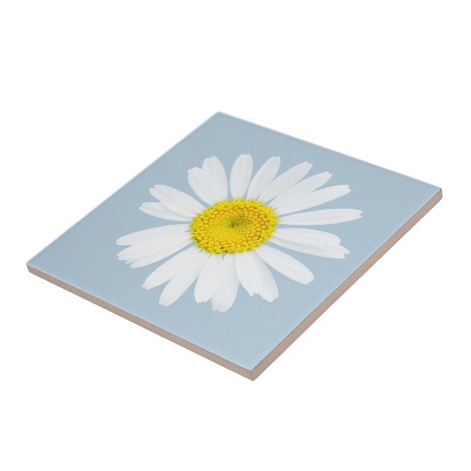 Daisy Blume Fliese (Seite)