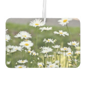Daisy Blume Foto Autolufterfrischer (Rückseite)