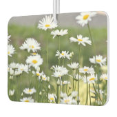 Daisy Blume Foto Autolufterfrischer (Links)
