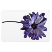 Daisy Blume Foto Magnet (Horizontal)