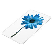 Daisy Blume Foto Magnet (Linke Seite)