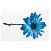 Daisy Blume Foto Magnet (Horizontal)