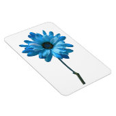 Daisy Blume Foto Magnet (Rechte Seite)